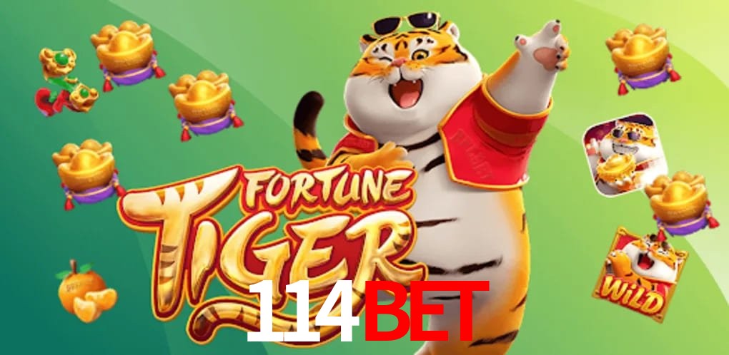 Experiência VIP 114bet